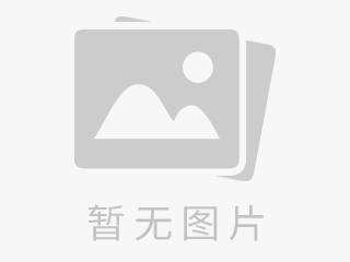 P系列